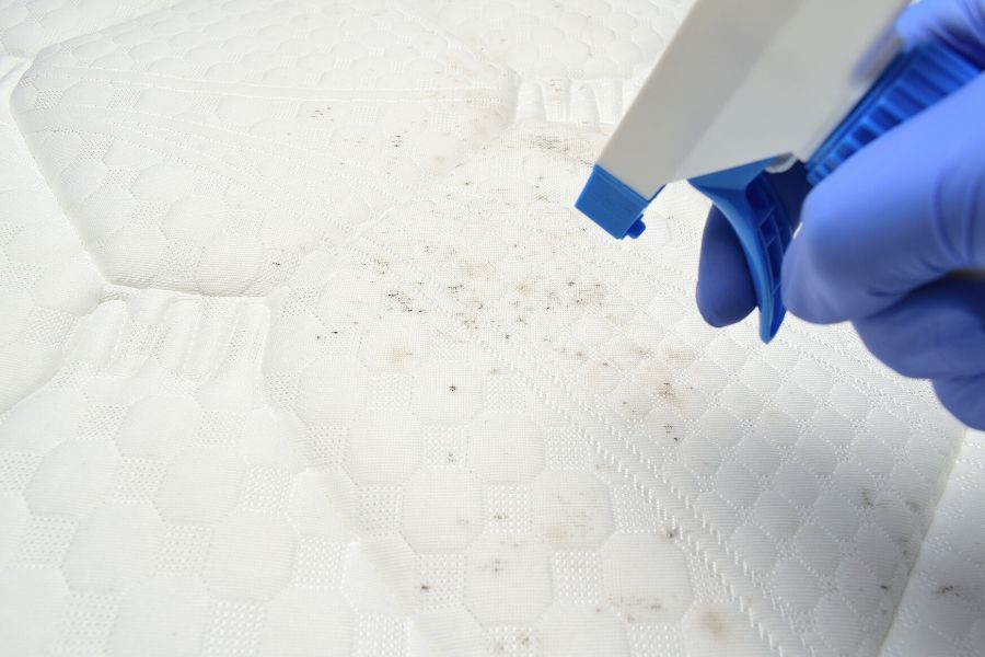How To Clean Your Mattress With And, How To Clean Sofa With Baking Soda Without Vacuum