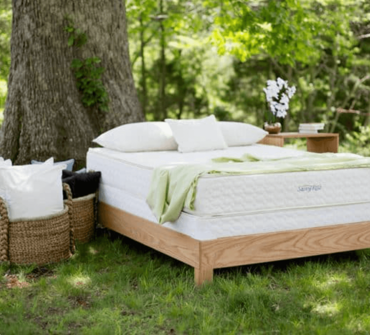 Savvy Rest Mattress stands in the forest of Surrey, BC